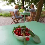 Kmetija Stekar * Kojsko