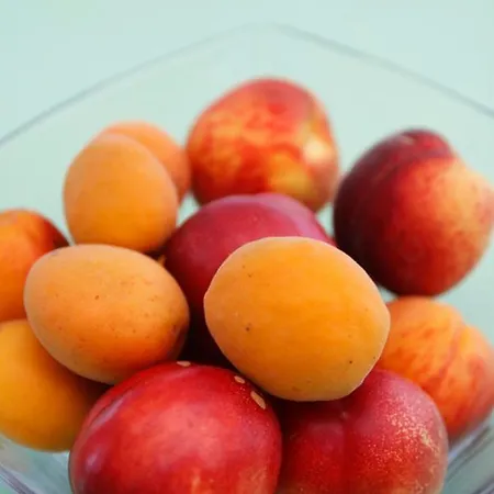 Kmetija Stekar 农家乐