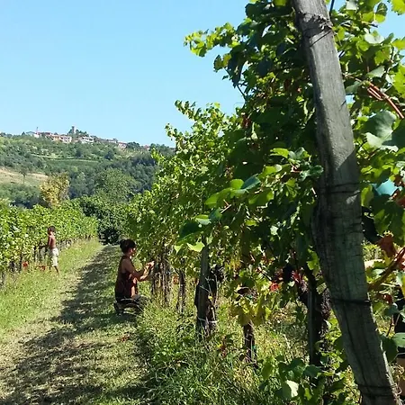 Séjour à la ferme Kmetija Stekar