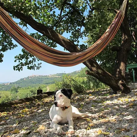 Kmetija Stekar Farm stay Kojsko
