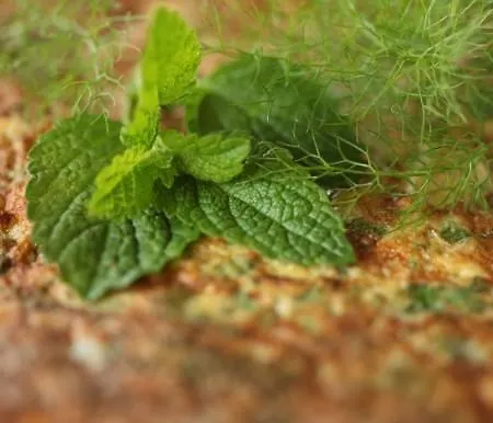 Agroturismo Kmetija Stekar