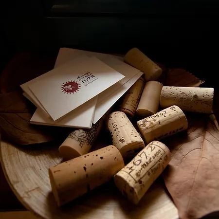 Agroturismo Kmetija Stekar Kojsko