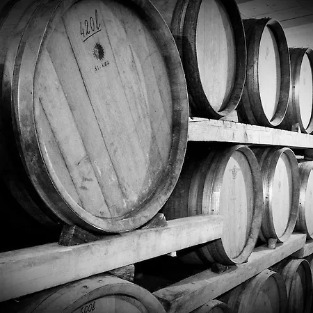 农家乐 Kmetija Stekar