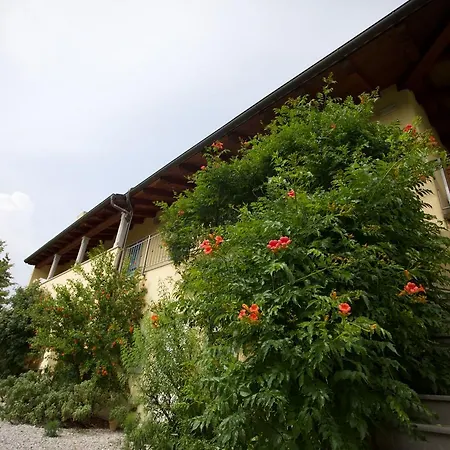 Kmetija Stekar Farm stay