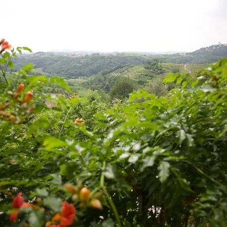 Farm stay Kmetija Stekar