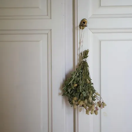 Farma Kmetija Stekar *