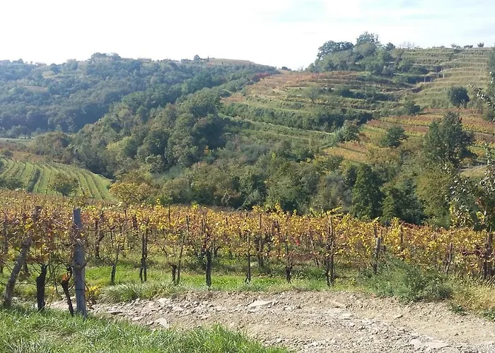 Kmetija Stekar 팜스테이 *