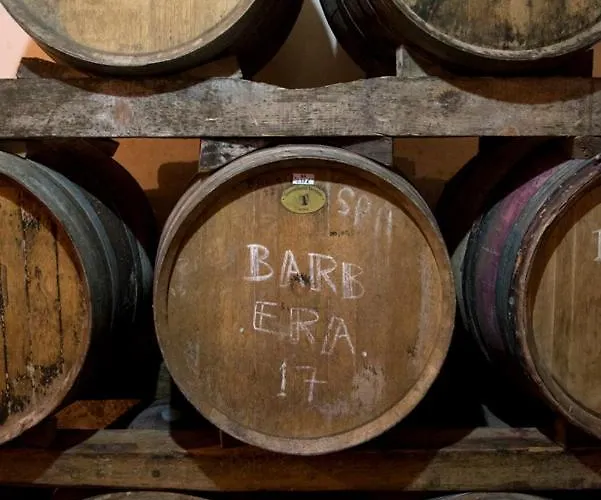 Kmetija Stekar 팜스테이