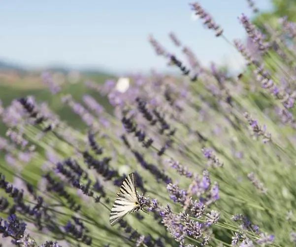 Kmetija Stekar Çiftlik konaklama *