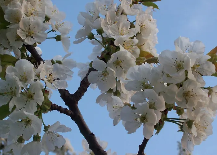 Vakantieboerderij Kmetija Stekar