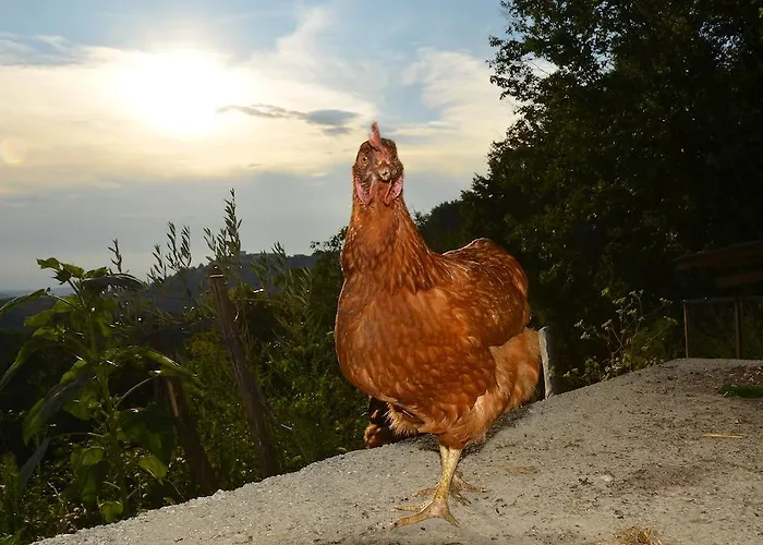 Vakantieboerderij Kmetija Stekar