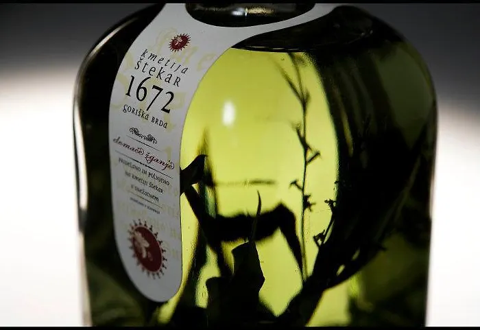 팜스테이 Kmetija Stekar