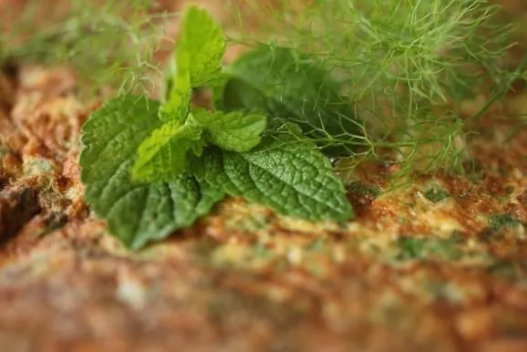 Vakantieboerderij Kmetija Stekar