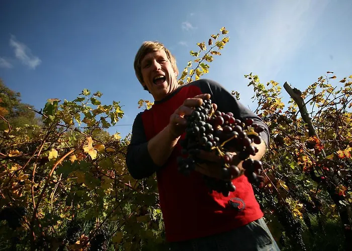 팜스테이 Kmetija Stekar Kojsko