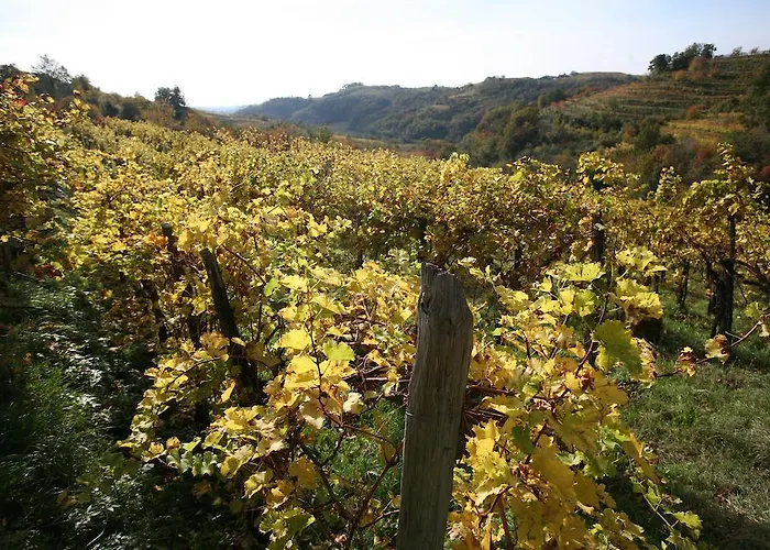 팜스테이 Kmetija Stekar Kojsko