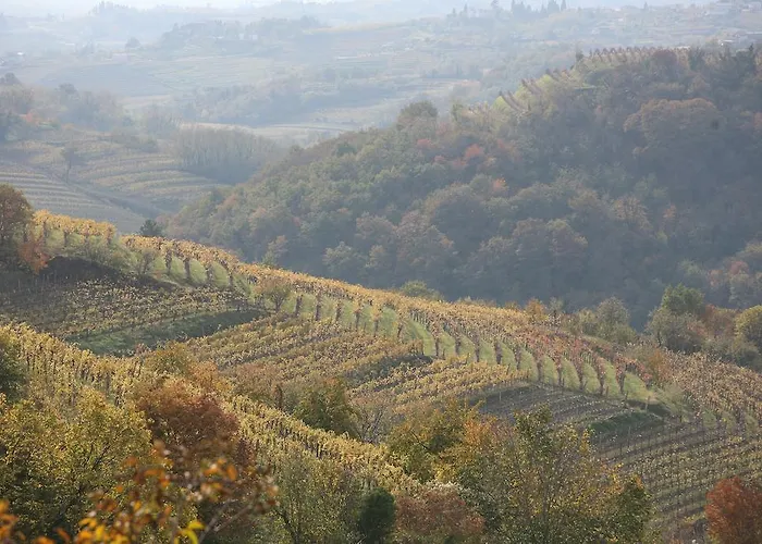 팜스테이 Kmetija Stekar *