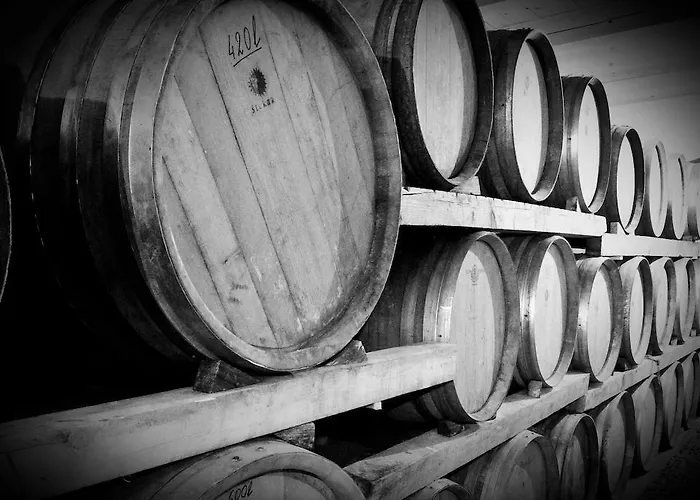 팜스테이 Kmetija Stekar