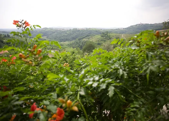 팜스테이 Kmetija Stekar