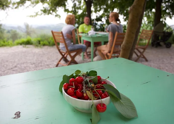 Kmetija Stekar * Kojsko