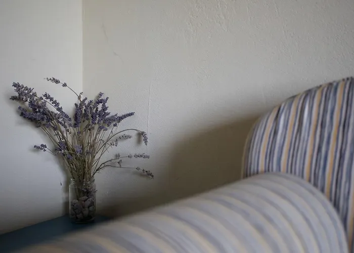 Kmetija Stekar Kojsko